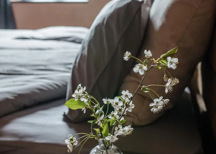 Ilmaveere Butiikhotell Ja Restoran فندق