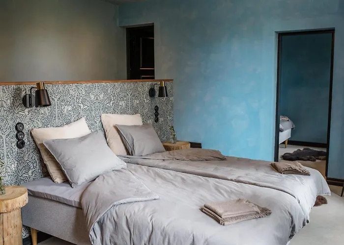 Ilmaveere Butiikhotell Ja Restoran * Obinitsa